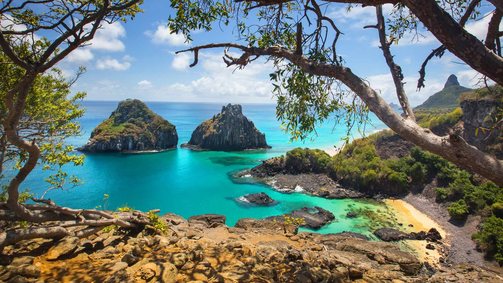 Fernando de Noronha — experiência selecionada pela NCW Turismo